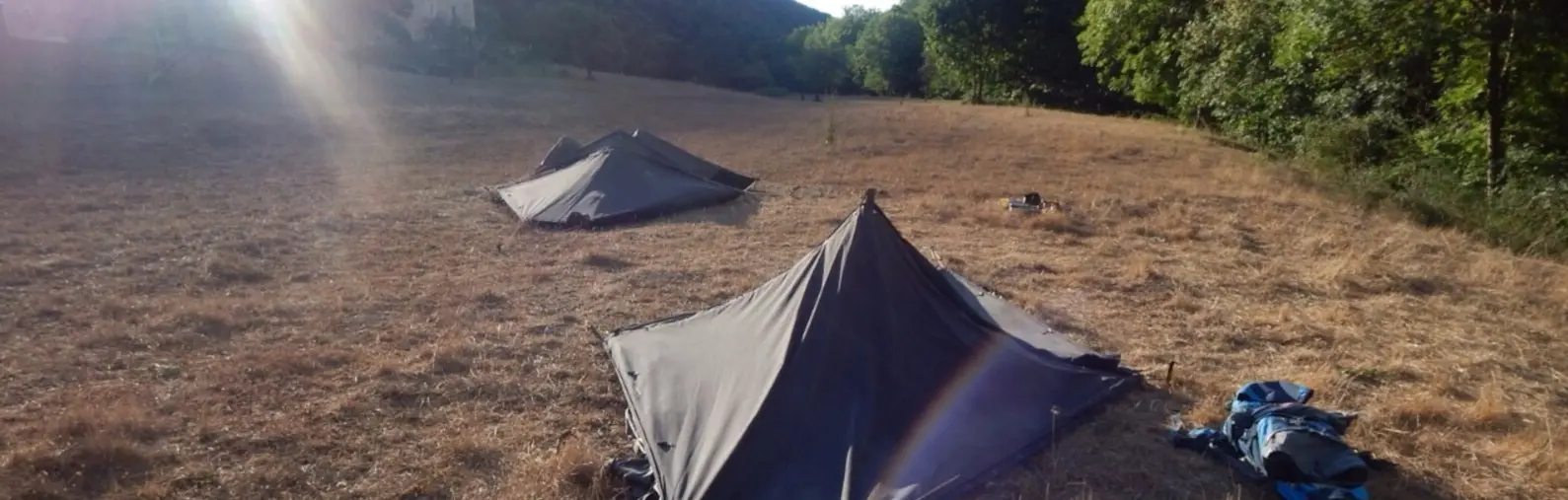 Zelte auf Wiese